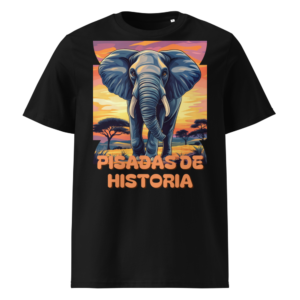 Pisadas de Historia en camiseta