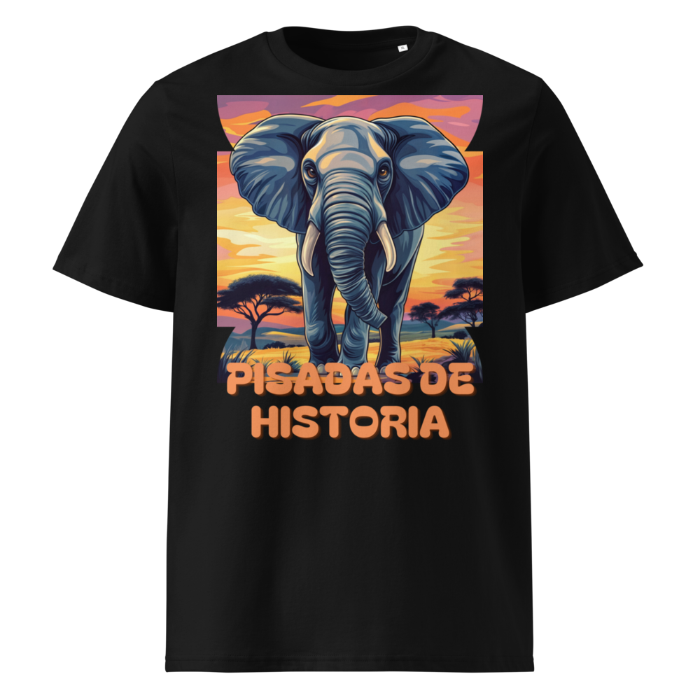 Pisadas de Historia en camiseta